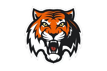 Флаг хоккейного клуба Амур Хабаровск