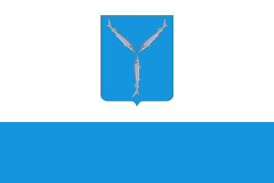 Флаг Саратова 90х135 см Флаг Саратова 90х135 см